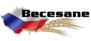 BECESANE s.r.o.